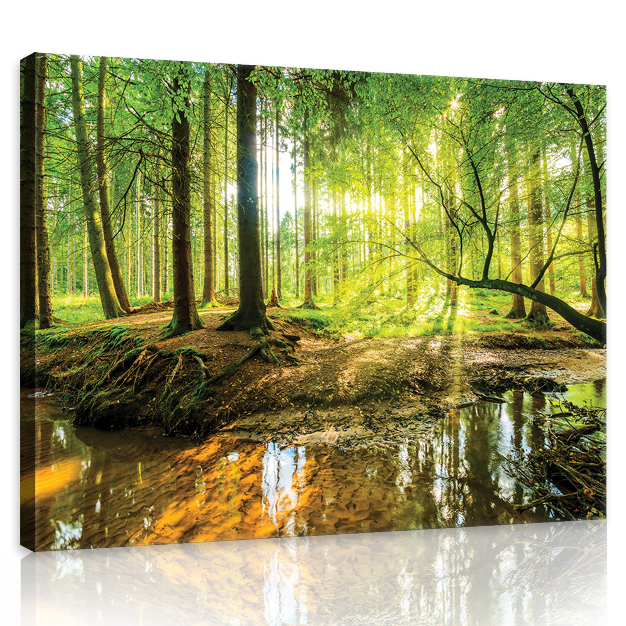 Sinus Art Leinwandbild Wandbild 120x80cm Fensterbild Wald Bach Grün